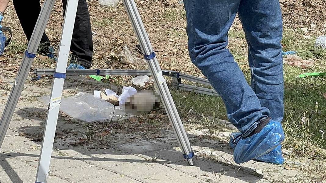 Çöpte kafatası bulundu: 31 yıllık gerçek ortaya çıktı! Polisler de şaştı kaldı 6